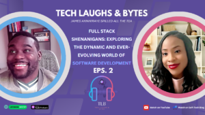 Read more about the article Episode 2  – Full Stack Shenanigans – Exploring Software Development